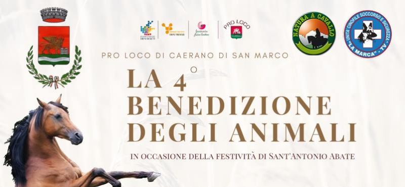 Benedizione degli animali