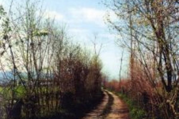 Le Rive sul Sentiero di Via Vallon